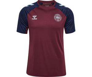 Hummel Danemark Maillot Pro Training 26/2028 Rouge/Bleu M