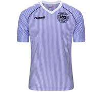 Hummel Denmark Goalkeeper Shirt 1986 Juniors Violet 13 (TG) Male