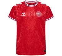 Hummel Denmark Home Football Shirt Rouge 7-8 (S) Male
