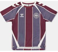 Hummel Denmark Pre Match Shirt 2025 Juniors Multiple 11-12 (L) Unisex