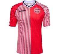 Hummel Denmark Retro Shirt 1986 Juniors Rouge 13 (XL) Male