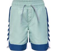 Hummel Dive Board Swimming Trunks Surf Bleu 11 - 12 ans Male