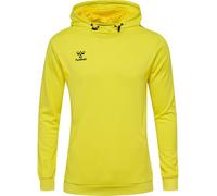 hummel Hmlauthentic Multisport Sweat à Capuche pour Homme Taille