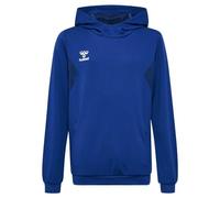Sweatshirt à capuche polyester enfant Hummel Authentic Bleu 12 ans