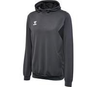 hummel Hmlauthentic Pl Hoodie Sweat-Shirt MÂLE