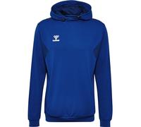 Hummel hmlAUTHENTIC PL Sweat à capuche bleu F7045 S