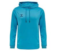 hummel hmlCORE XK Poly Sweat Hoodie Maillot de survêtement, Bleu Danube, XXL Mixte