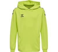 Hummel Core Xk Poly Hoodie Vert 140 cm Enfants