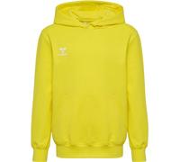 hummel Hmlgo 2.0 Hoodie Kids Sweat-Shirt à Capuche Mixte Enfant