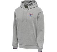 hummel hmlIC DAYTON Hoodie Uni grey melange L