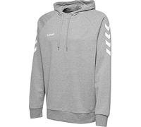 hummel Homme Hmlgo Cotton Hoodie Sweatshirt capuche, Gris, 3XL EU