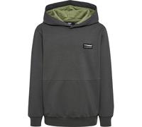 Hummel Glen Hoodie Gris 4Y Male