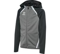 Hummel Lead 2.0 Zip Hoodie Jr Gris 164