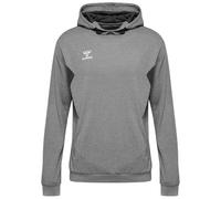 Hummel Sweat à Capuche Authentic Pl