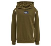 Hummel Sweat à Capuche Ditmer