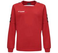 Hummel Sweat-shirt Authentic Training