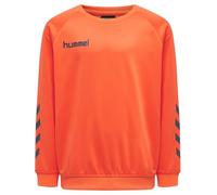 hummel Sweat-Shirt Manches Raglan Hmlpromo Multisport Enfant Taille