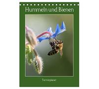 Hummeln und Bienen Terminplaner (Tischkalender 2026 DIN A5 hoch), CALVENDO Monatskalender: Terminplaner mit fleissigen Bienen, flauschigen Hummeln und bunten Blüten