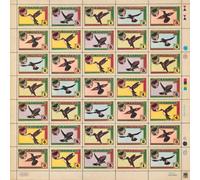 Hummingbird - Hummingbird