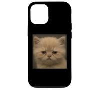 Humour drôle désapprobateur Visage de Chaton Visage de Chat Meme Coque pour iPhone 12/12 Pro
