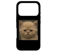 Humour drôle désapprobateur Visage de Chaton Visage de Chat Meme Coque pour iPhone 17 Pro