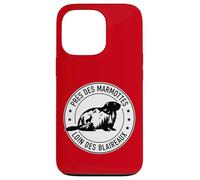Humour Marmotte Montagne et Randonnée Alpes et Pyrénées Coque pour iPhone 13 Pro