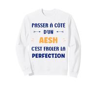 Humour Passé à côté d'un aesh Perfection Métier aesh Sweatshirt