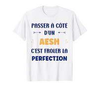 Humour Passé à côté d'un aesh Perfection Métier aesh T-Shirt