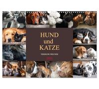 Hund und Katze - Tierische Freunde (Wandkalender 2026 DIN A3 quer), CALVENDO Monatskalender: Freundschaft kennt keine Unterschiede, jeden Monat ein Stück Liebe an der Wand.