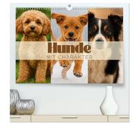 Hunde mit Charakter (hochwertiger Premium Wandkalender 2026 DIN A2 quer), Kunstdruck in Hochglanz: Hunde, wie wir sie lieben