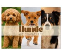 Hunde mit Charakter (Tischkalender 2026 DIN A5 quer), CALVENDO Monatskalender: Hunde, wie wir sie lieben