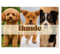 Hunde mit Charakter (Wandkalender 2026 DIN A2 quer), CALVENDO Monatskalender: Hunde, wie wir sie lieben