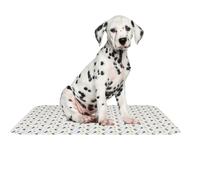 Hunde Urinunterlagen - Einfach Zu Reinigen | Auslaufsichere Trainingsmatte für Hunde Innenbereich - Für Zuhause Reise Toilettentraining Transportbox Katzen Welpen Pflege Zubehör