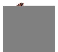 Hundebälle - Rollball automatique | Interaktives Spielzeug Mit Ton & Licht Für Kleine & Mittelgroße Hunde Zur Beschäftigung Gegen Langeweile Beim Spielzeit Intérieur Extérieur Haustierspaß