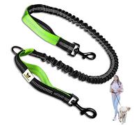 Hundefreund Extension de Laisse Élastique pour Chien - Rallonge de 120 cm avec Amortisseur et 2 Poignées Réfléchissantes - Compatible avec Les Laisses Mains Libres (Vert)