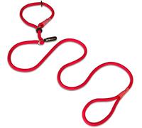 Hundefreund Retriever Laisse et Collier Deux-en-Un | 200 cm de Laisse Moxon pour Chien Rouge avec Butée (Anti-Traction)