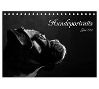 Hundeportraits Fine Art (Tischkalender 2026 DIN A5 quer), CALVENDO Monatskalender: Hundeportraits in schwarz/weiß
