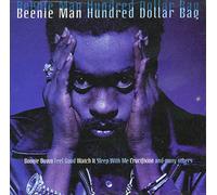 Hundred Dollar Bag