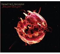 Hundred Reasons - Perfect Gift [Import]
