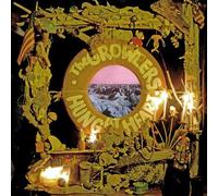 Hung At Heart Vinyle