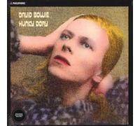 Hunky Dory