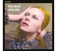 Hunky Dory