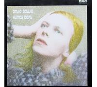 Hunky Dory [Import]