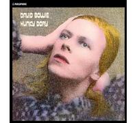 Hunky Dory Vinyle