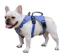 Huntboo Harnais Chien, Harnais Anti-évasion pour Chien, Harnais pour Chien Réfléchissant avec Poignée, Harnais Petit Chien Ajustable, pour Chiens Moyens à Grands, Entraînement et Course (Violet, M)