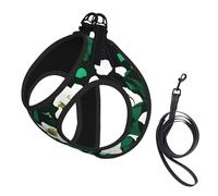 Hunter Harnais avec laisse pour petit chien avec laisse - Motif floral - Vert - Pour dressage et promenade