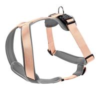 HUNTER Harnais en néoprène - Couleur : pêche/Gris - Taille : S