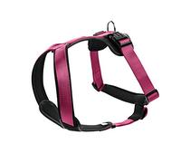 Hunter Harnais en Nylon Rembourré en Néoprène Souple pour Chien,himbeer/schwarz, 53-65, M