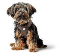 HUNTER Harnais pour Chien Love - Couleur : Marron - Cuir de Vachette Souple - Rembourrage en Maille Respirante - Cœur Cousu à la Main - Grand Confort - Fabriqué en Allemagne - Taille : XS-S