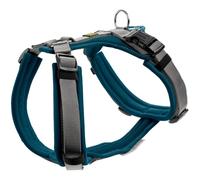 HUNTER Harnais pour Chien Maldon Up - Couleur : pétrole/Gris - Rembourrage Doux et Confortable - Hautement réfléchissant grâce à 3M Scotchlite - Réglable en 4 Positions - avec poignée rembourrée (à